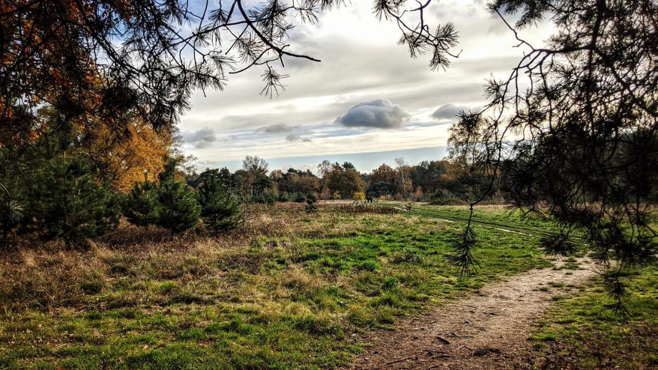 Chalet Op De Veluwe # Linde 푸텐 외부 사진