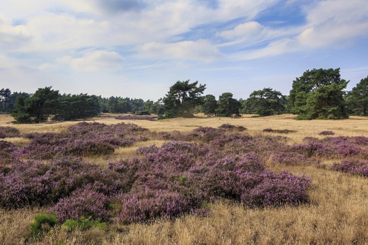 Chalet Op De Veluwe # Linde 푸텐 외부 사진